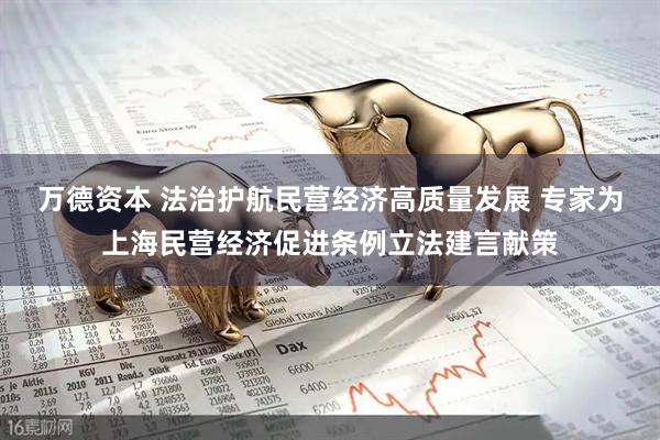 万德资本 法治护航民营经济高质量发展 专家为上海民营经济促进条例立法建言献策