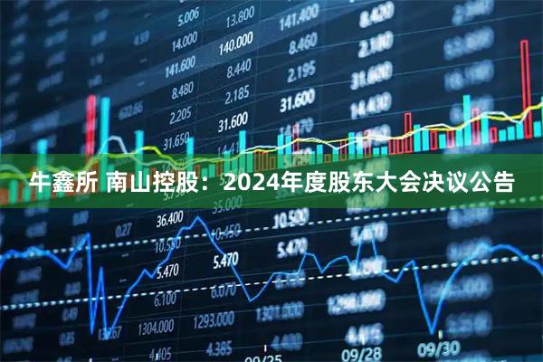 牛鑫所 南山控股：2024年度股东大会决议公告