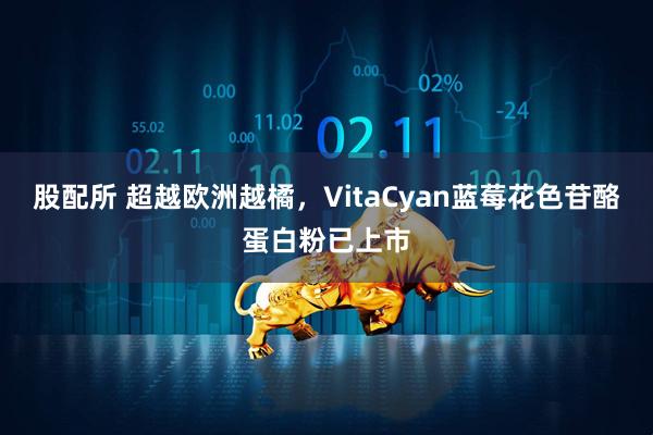 股配所 超越欧洲越橘，VitaCyan蓝莓花色苷酪蛋白粉已上市